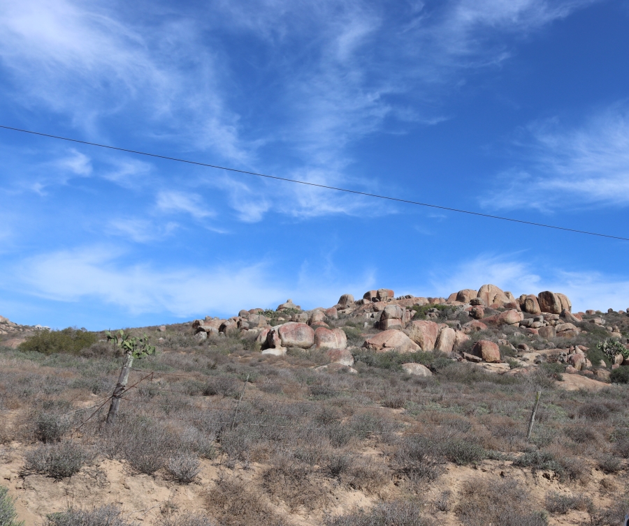 0 Bedroom Property for Sale in Da Gama Bay Western Cape